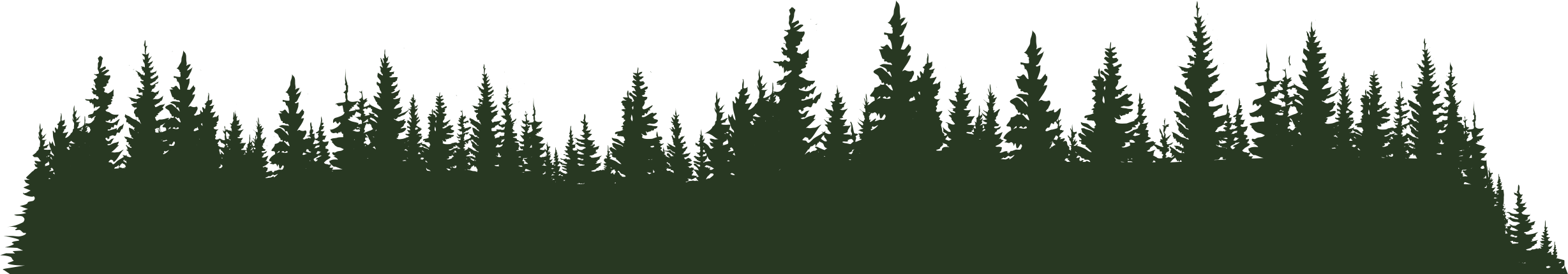 forest clipart forest ecosystem