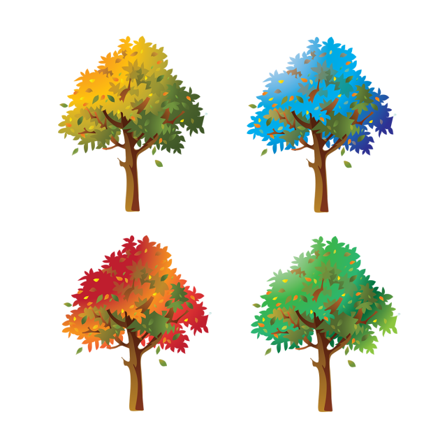 forest clipart forest ecosystem