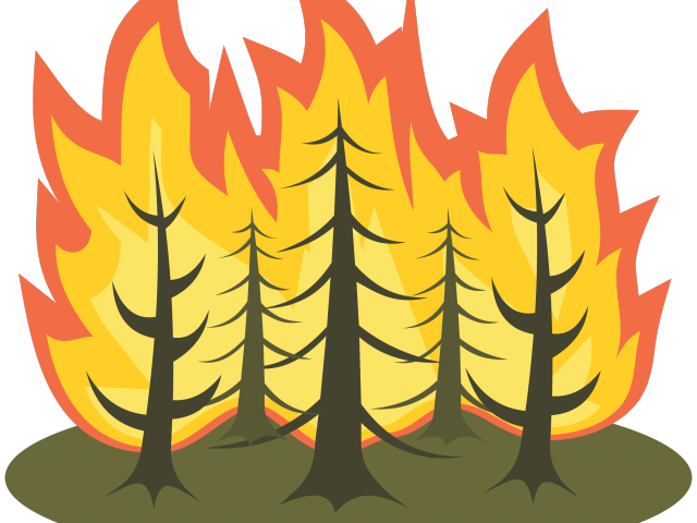 forest clipart forest fire