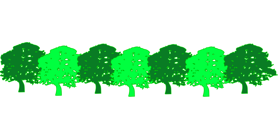 forest clipart forest school
