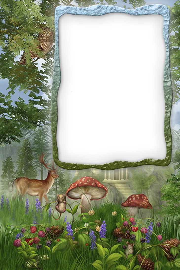 forest clipart frame