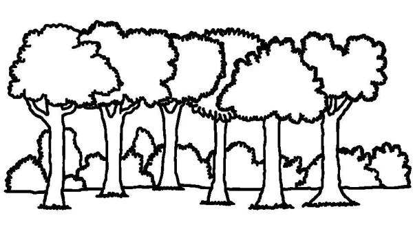 forest clipart outline