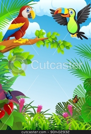 parrot clipart forest bird