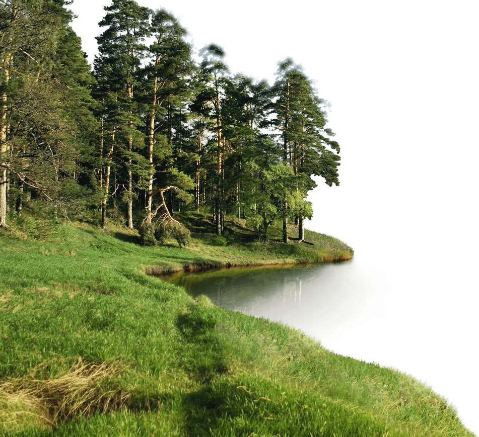 Forest clipart river, Forest river Transparent FREE for download on ...