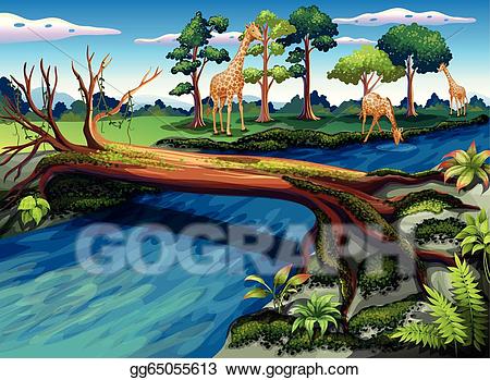 forest clipart river
