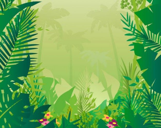 jungle clipart illustration