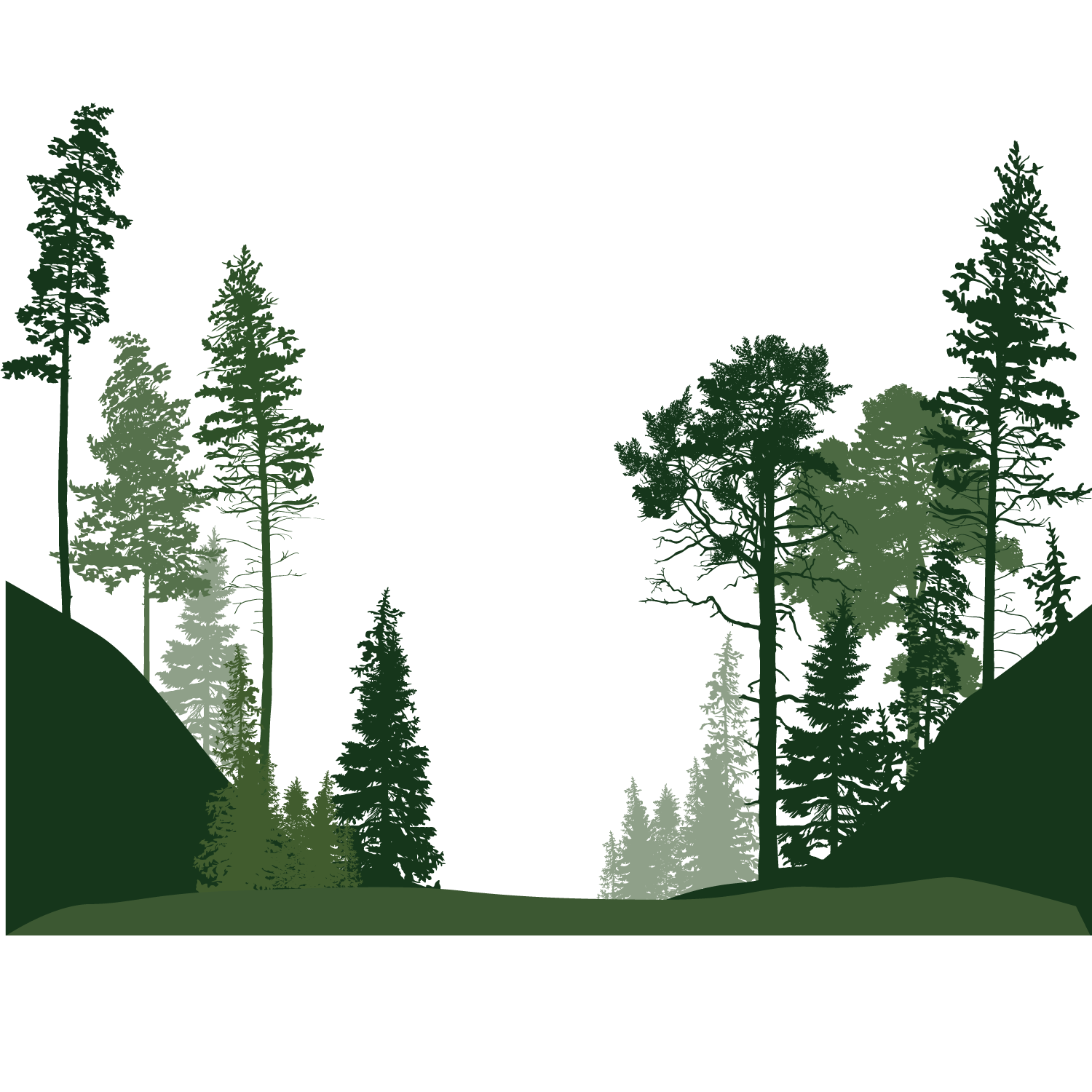 Forest clipart transparent. Png images all 