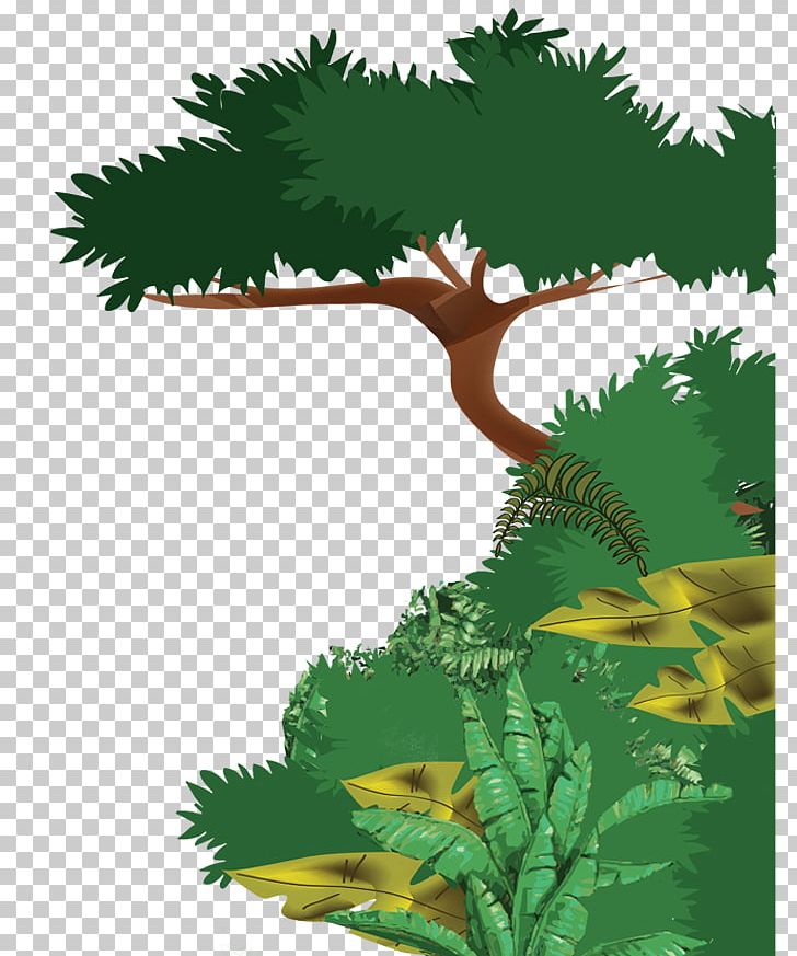forest clipart tropical evergreen forest