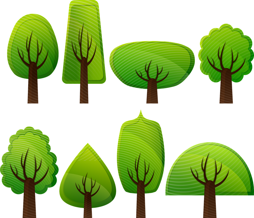 forest clipart vector