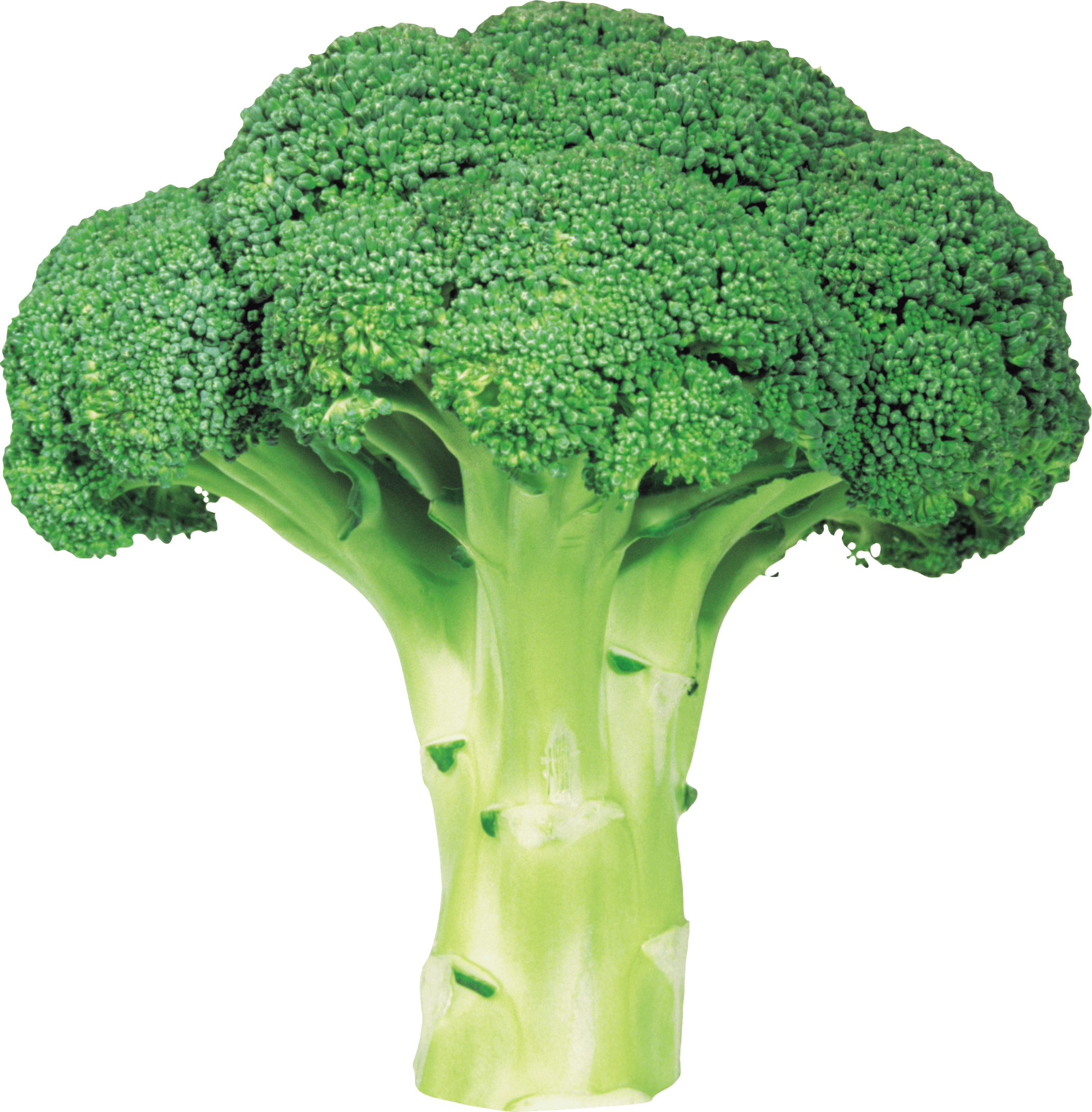 sad clipart broccoli