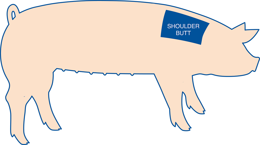 Seaboard foods shoulder boston. Fork clipart pork