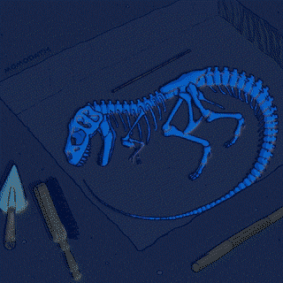 fossil clipart animation