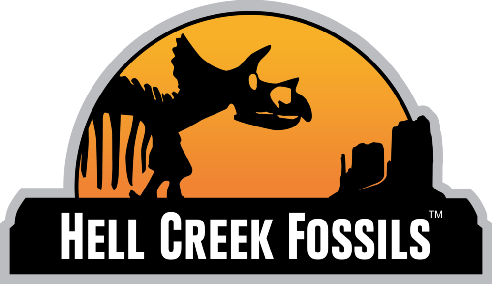 Geology clipart fossil. Dig charter hell creek
