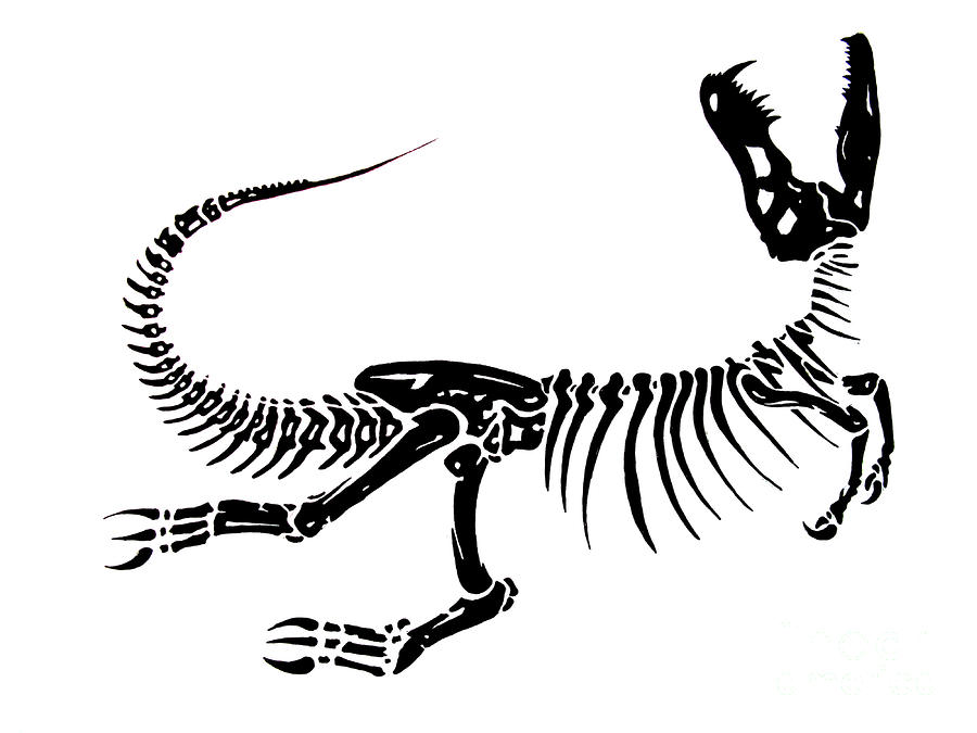 fossil clipart black and white
