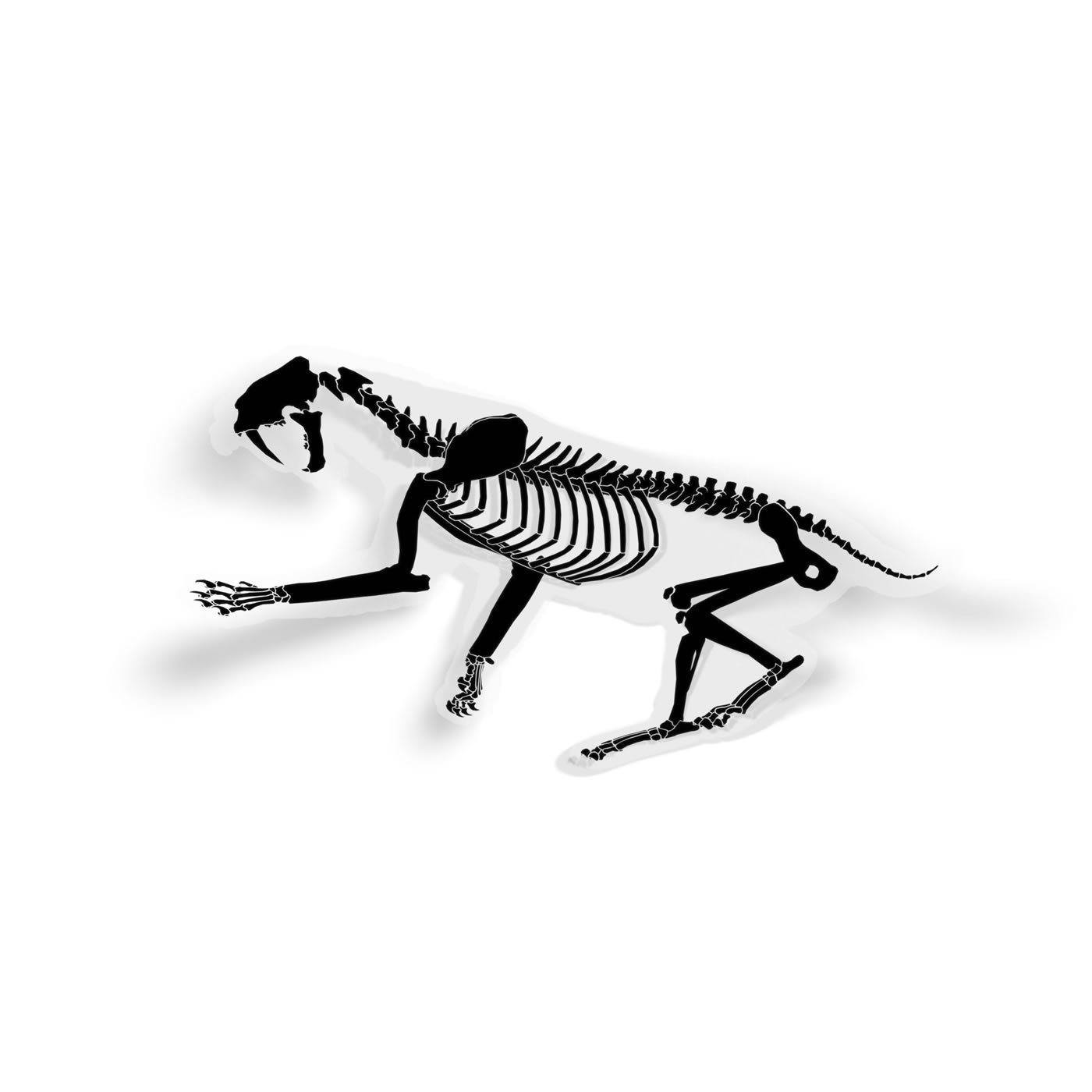 Smilodon saber toothed sticker. Fossil clipart cat skeleton