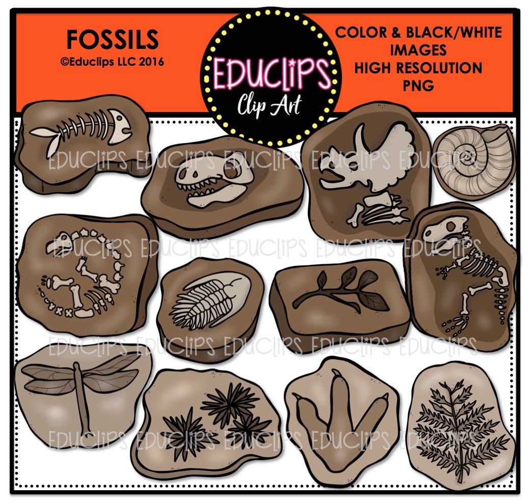 fossil clipart clip art