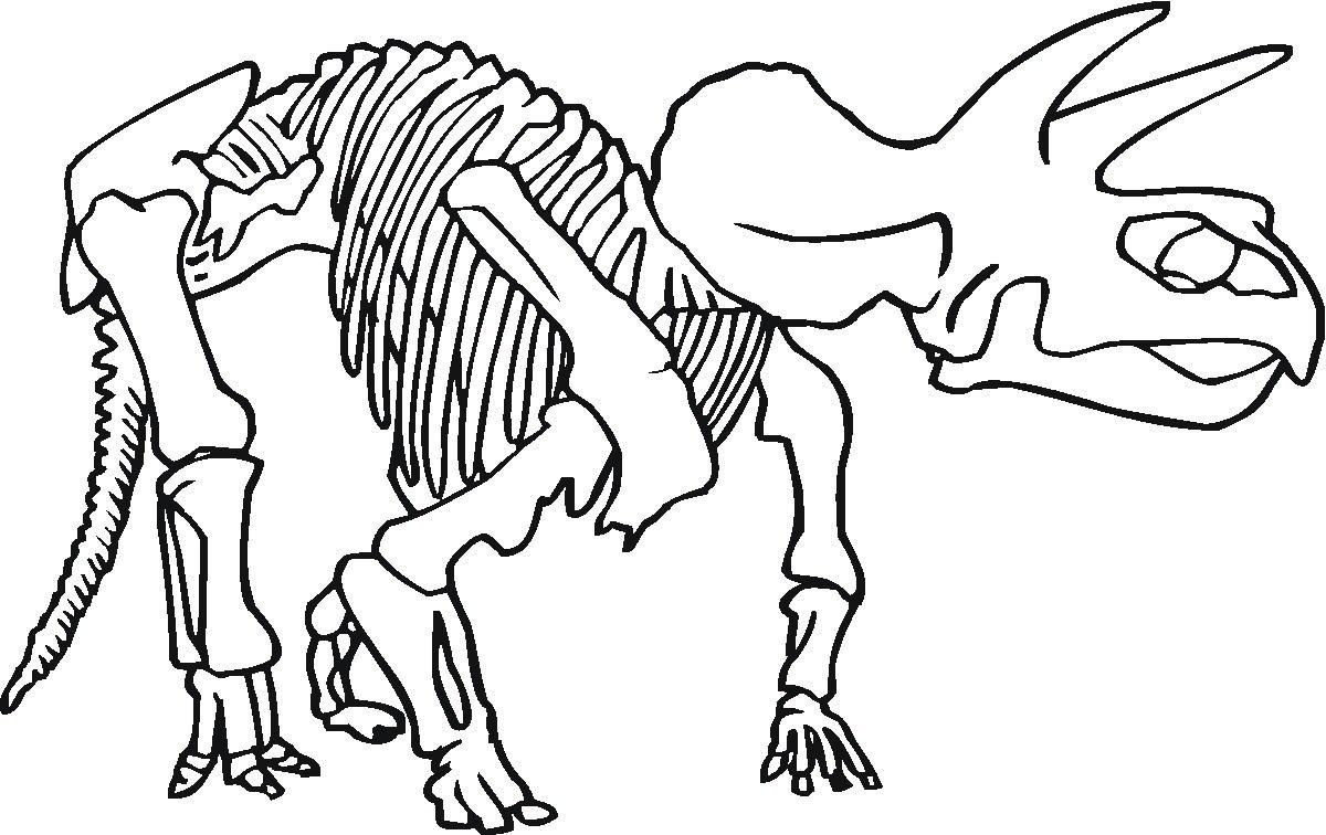 fossil clipart coloring page