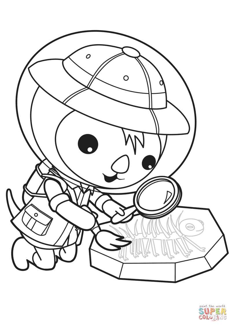 fossil clipart colouring