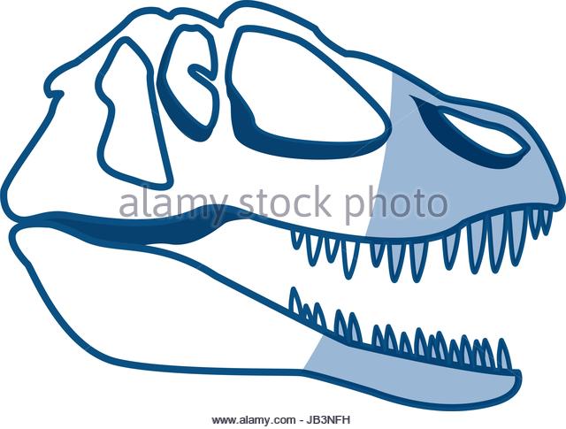 fossil clipart fossil record