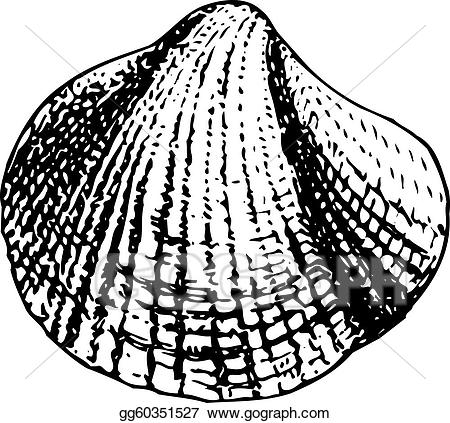 Shell clipart fossil. Clip art vector stock