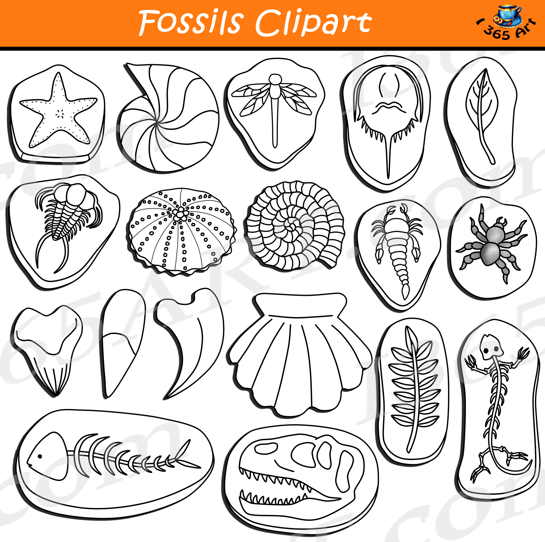 Fossils download earth science. Fossil clipart history