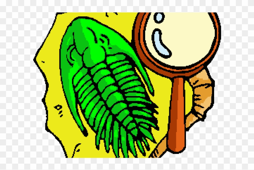 Soil sample fossils clip. Fossil clipart history