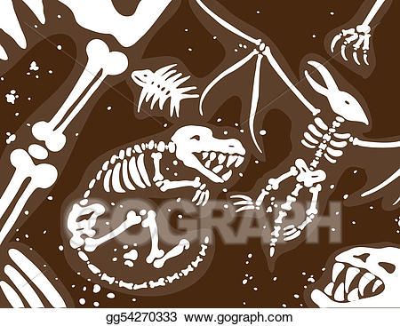 fossil clipart illustration