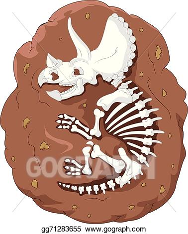 fossil clipart illustration