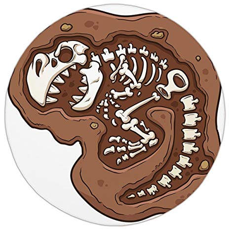 fossil clipart in ground