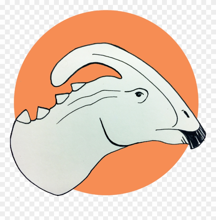 Png download . Fossil clipart paleontologist