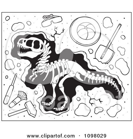 Paleontology tools and uncovered. Fossil clipart paleontologist tool