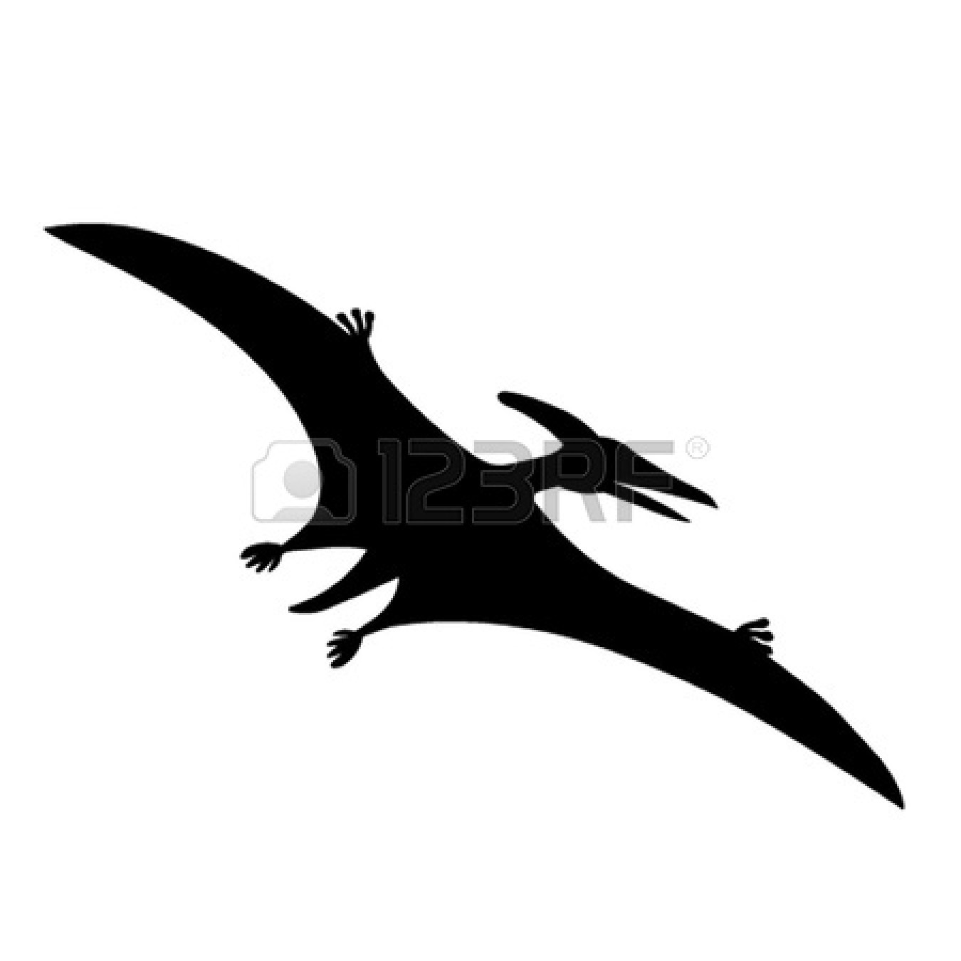 fossil clipart pterodactyl