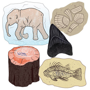 fossil clipart remains