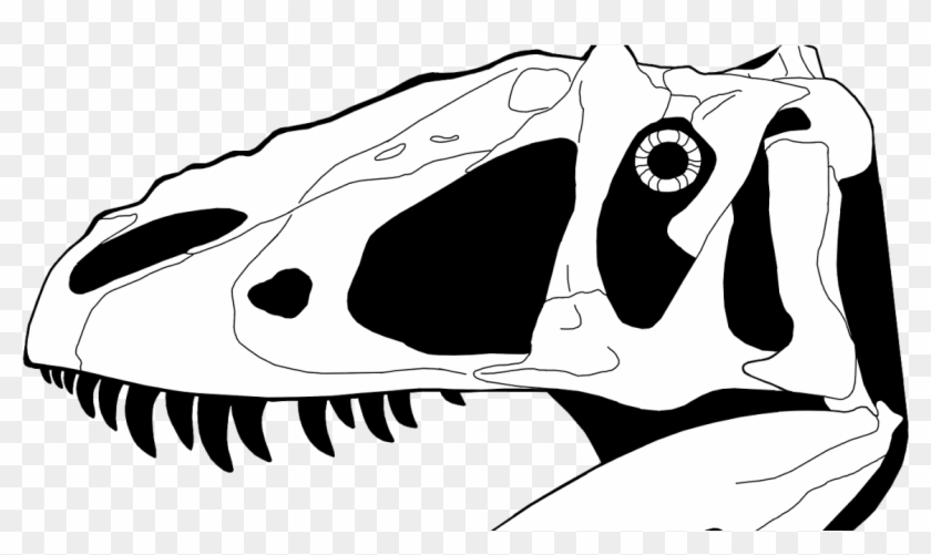 fossil clipart skull
