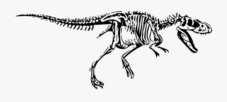 Fossil clipart t rex fossil. Dinosaur tyrannosaurus png fossils