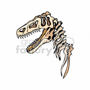 Bones royalty free . Fossil clipart t rex fossil