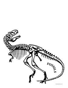fossil clipart template