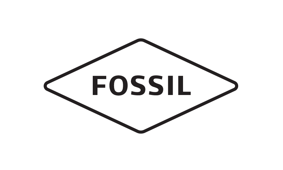 fossil clipart transparent