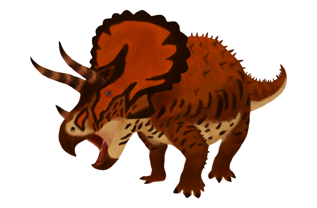fossil clipart triceratop