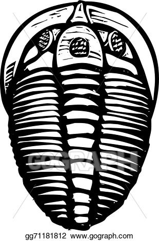 fossil clipart trilobite