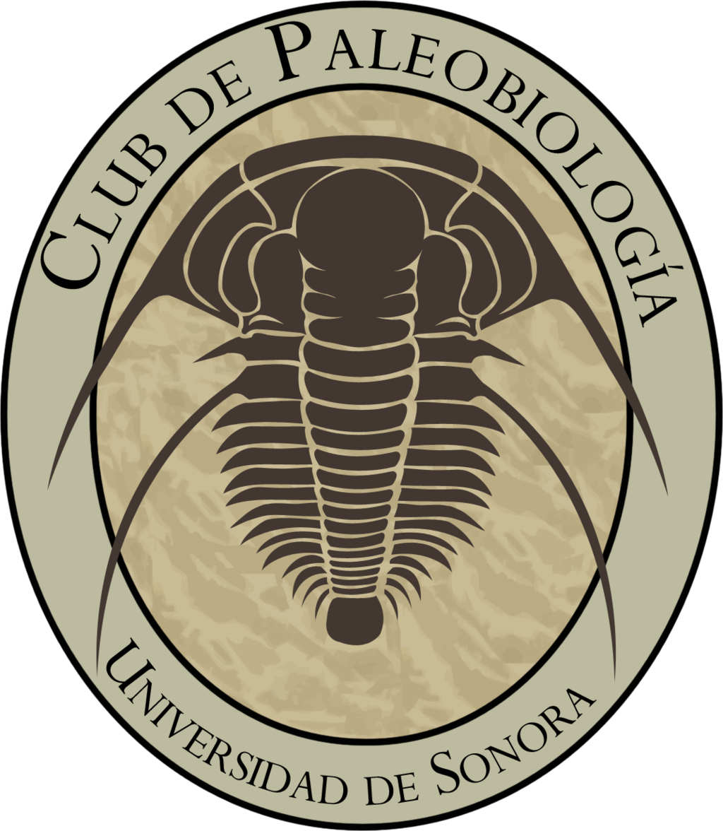 fossil clipart trilobite