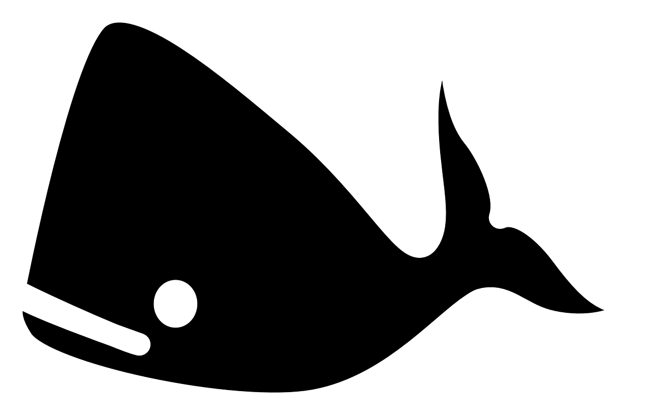 fountain clipart whale