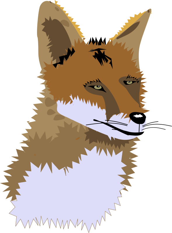 fox clipart color