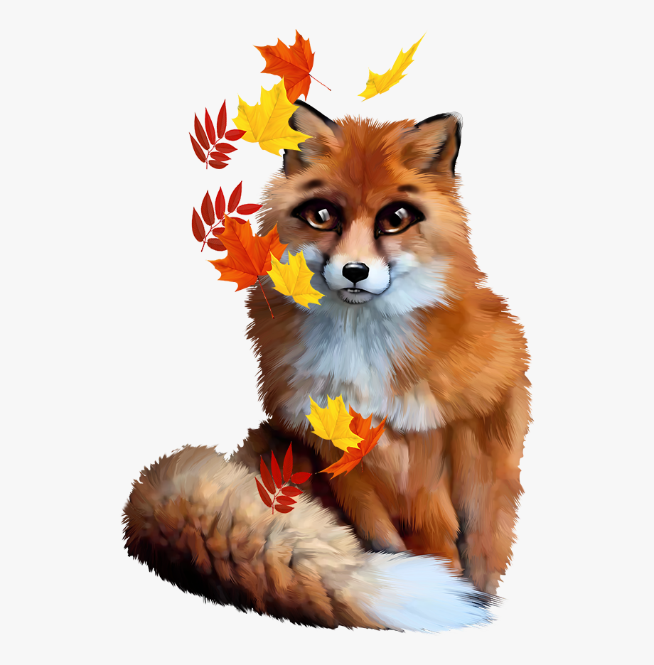 Cute borders and frames. Fox clipart frame