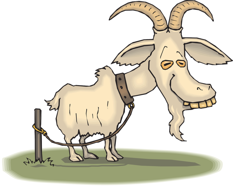 goat clipart grass clipart