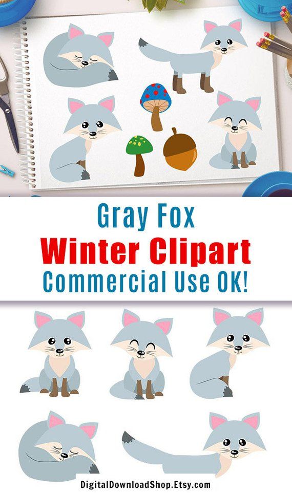 Fox clipart grey fox. Gray foxes silver cute