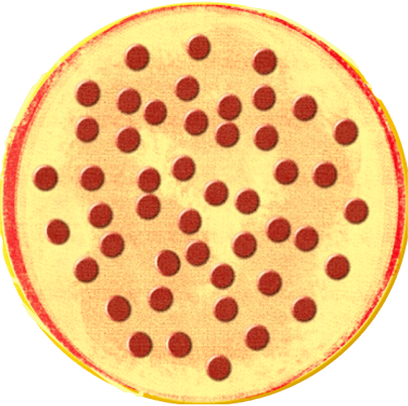 fractions clipart pizza crust
