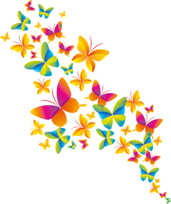 Pin by caroline cormier. Frame clipart dragonfly
