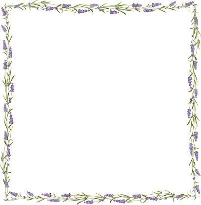 Lavender clipart frame. The line premium clipartlogo