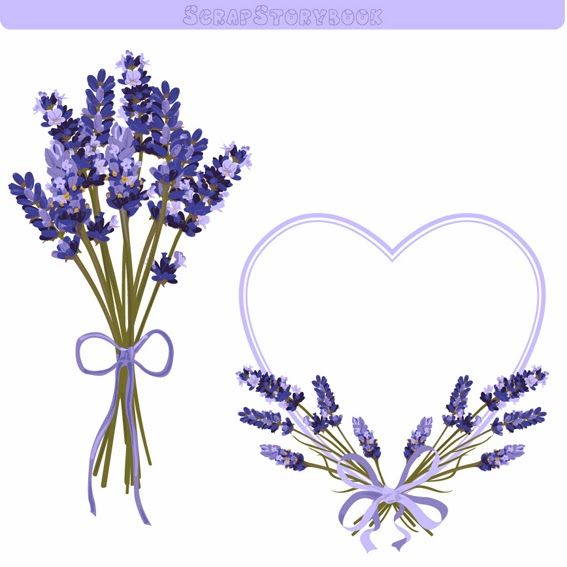 lavender clipart lavender heart